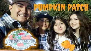 Huge Pumpkin Patch 2022 🍂| Live Oak Canyon Farm | We won a goldfish! | Spend the day with us 🎃🧡