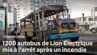 Les autobus Lion &Eacute;lectrique reprendront du service lundi au Qu&eacute;bec