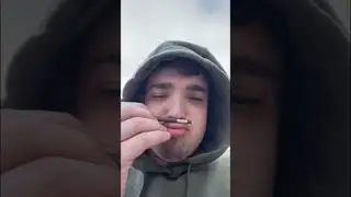 Wedding Cake Preroll Blunt - El Blunto