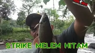 MANCING DEKET RUMAH STRIKE MELEM HITAM