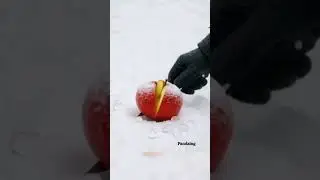 apple asmr#all #facts #video #funny #view #fruit #fyp #ai #statusvideo #trending #recent #all #allah