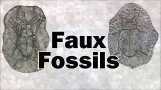 Faux Fossils - Project #5