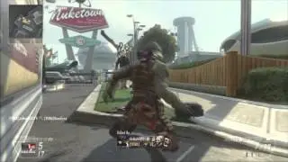 Developers camo- Black ops 2