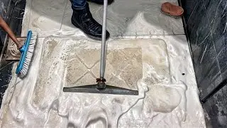 Royal Dirty Rug covered with moss - lt smells bad