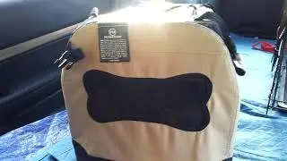 Dog Rescue Transport