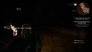 playing the Witcher wild hunt