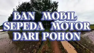 POHON KARET