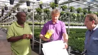 IPM Tips &ndash; Successfully Release Your Predators