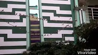 Jeypore video