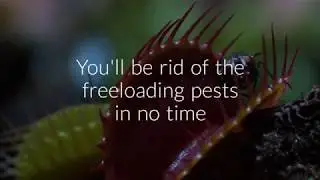 Pest Control Services in Melbourne |  call  03 9088 7658   Pest Control Services in Melbourne