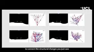 Self-Motivated Growing Neural Network for Adaptive Architecture via Local Structural Plasticity