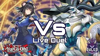 Yu-Gi-Oh!! K9 Vanquish Soul против фирменной игры Dracotail Prodigy Games. Местная дуэль в прямом...