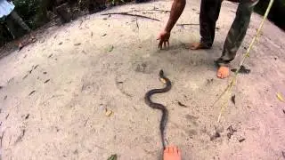 Playing with snakes with Robin Loor - Untamed Adventures inc