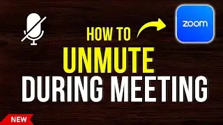 How to Unmute Yourself During a Zoom Meeting