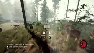 The Forest Part 1
