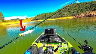SURPREENDEU | É A HORA CERTA PARA ISCA GRANDE | MUITOS PEIXES NA REPRESA DE PARAIBUNA/SP | FISHING