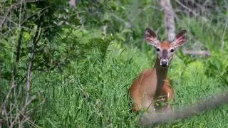 James C. Yerxa Nature Preserve