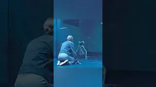 That ALIEN child turned out to be very dangerous | #recap #movie  #recapfilm  #shorts #sputnik