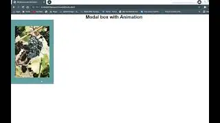 Modal Box With Animation