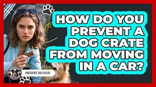 How Do You Prevent A Dog Crate From Moving In A Car?