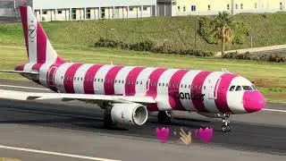 AMAZING TRIPLE WAVE @condor  CREW at Madeira Airport 🎗️🩷D-AICS 🩷🎗️ FLY PINK PLANE