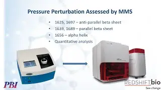 Next-Gen IR Spectroscopy of Protein Structure Perturbed by Pressure