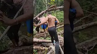 explorer kali krimpong Papua Distrik Depapre kab jayapura #alam #papua #explore