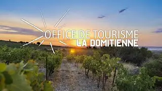 D&eacute;couvertes Oeno &agrave; la Domitienne