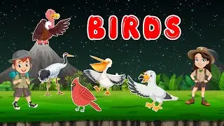 Learn Bird Names and Sounds for Kids | Popular Birds Vocabulary for Toddlers 🦅✨