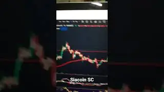 SiaCoin SC #shorts #crypto