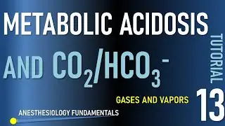 Acid Base 3  Metabolic Acidosis, Respiratory Compensation, Anion Gap, Base Excess