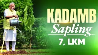 PM Modi plants a Kadamb sapling at 7, LKM gifted by His Majesty King Charles III