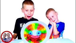 Easy Science Experiment for kids | Skittles rainbow experiment with Mike and Jake to do at home| DIY