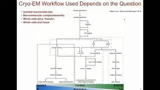 Correlative (Cryo-)Microscopy for Cell Biology