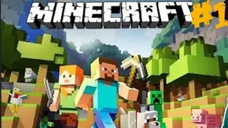 I found diamonds in first day of //entity world // #1 // Gaming force //