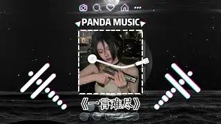 大头针 - 一言难尽 (抖音DJ版) Da Tou Zhen AI - Yi Yan Nan Jin『你给我一场戏，你看着我入。』【動態歌詞｜Vietsub｜Pinyin Lyrics】