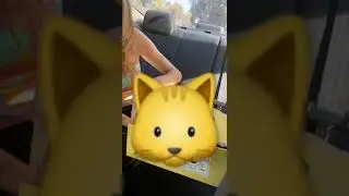 SURPRISING MY SISTER WITH HER DREAM PET! &hearts;️ #viral #kitten #surprise