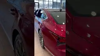 I Fell in Love ❤️ LEXUS  LS500 🌴 Florida 🚗 Car