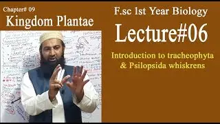 Biology Ch#09-Lecture#06 Introduction to tracheophyta & Psilopsida whiskrens  (F.Sc 1st Year)