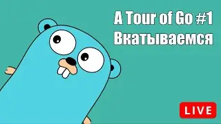 A Tour of Go #1: Вкатываемся в Golang, начинаем туториал