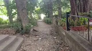 UPDATE : LAMESAECOPARK