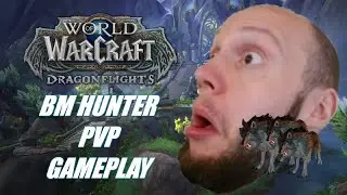 BM Hunter PVP Gameplay / Dragonflight