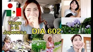Somos Unas Miedosas + Prueban el 