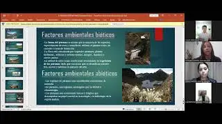 ECOSISTEMA PÁRAMO ANDINO - UTP