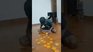 use panther pounce effect & see the magic😂😂😜#shortsfeed #shortsvideo #