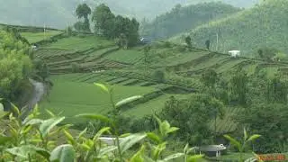 Menikmati Indahnya suasana lahan pertanian dengan Alunan suling sunda