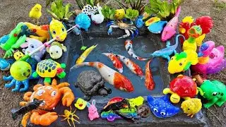 &ldquo;This Fish Net Caught EVERYTHING!&rdquo;