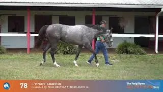 HIP 78 TAPWRIT-ABBREVIATE, GRR C