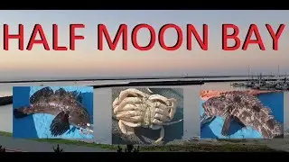 Ловля морского окуня, кабазона и краба-данженесса с помощью подводной камеры GoFish Cam.
