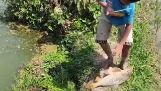 Best hook fishing 2022